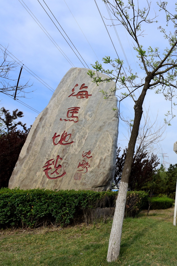 海马地毯：60 年匠心铸魂，定义高端地毯品牌新标杆！